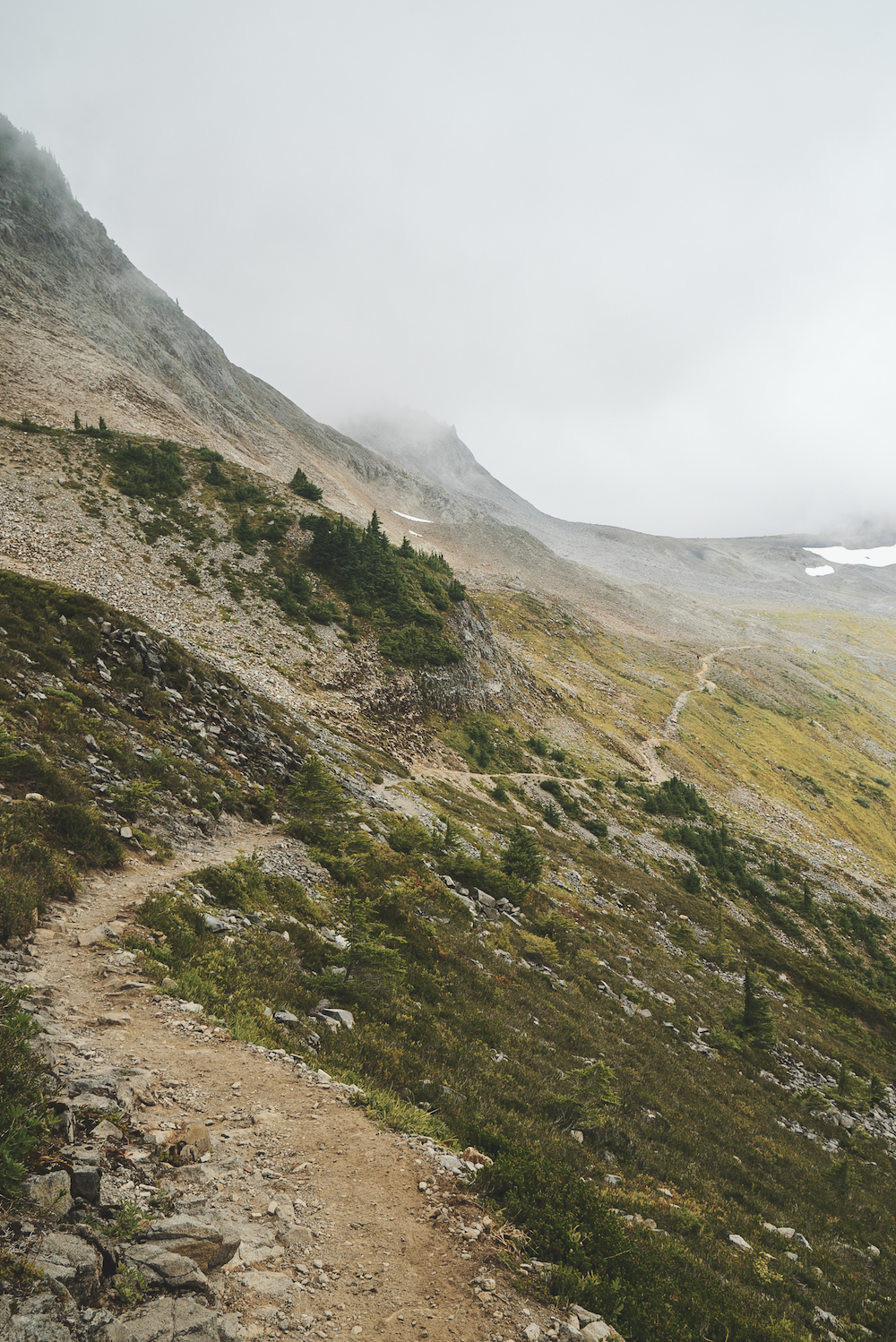 Ptarmigan Ridge