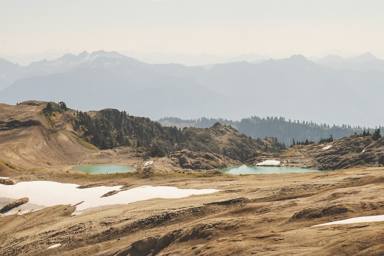 Ptarmigan Ridge