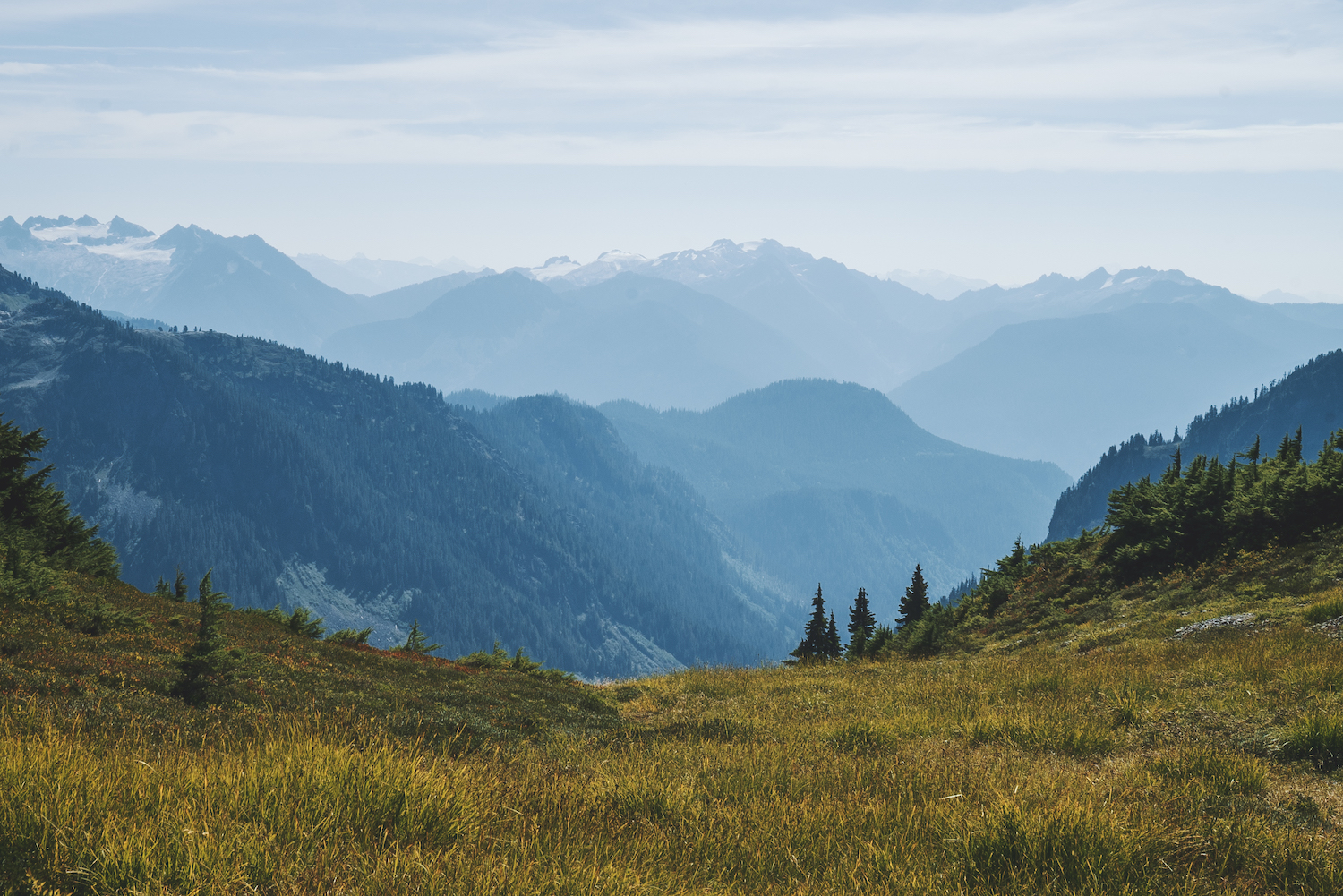 Ptarmigan Ridge