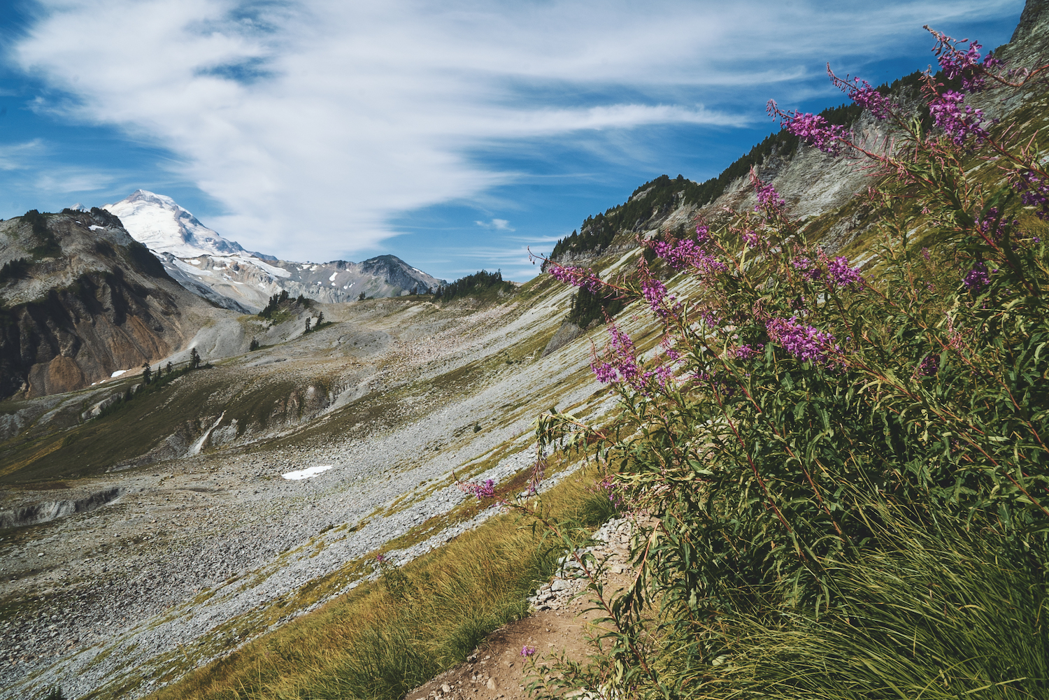 Ptarmigan Ridge