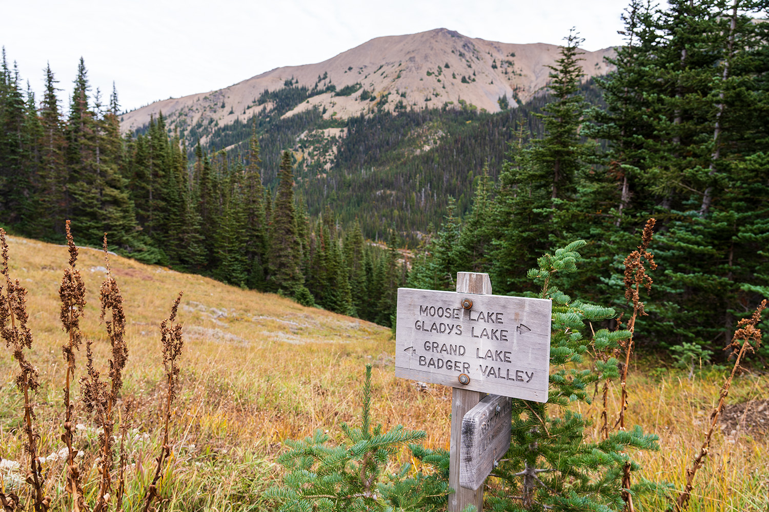 Badger Valley to Grand Pass Loop