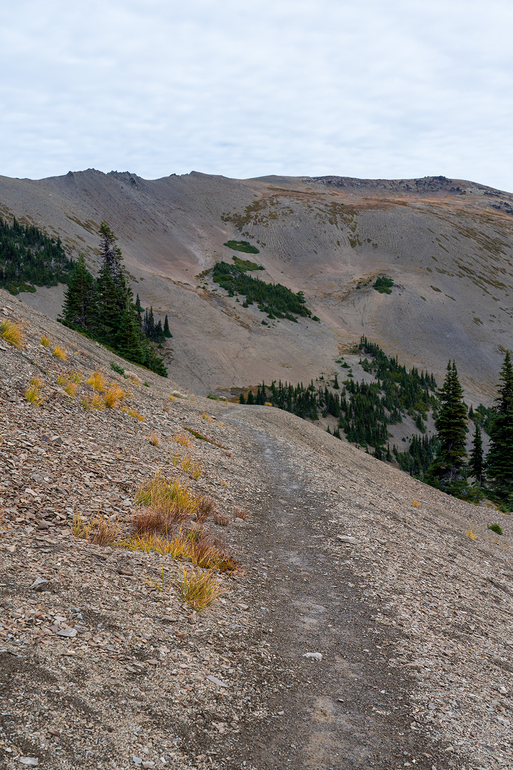 Badger Valley to Grand Pass Loop