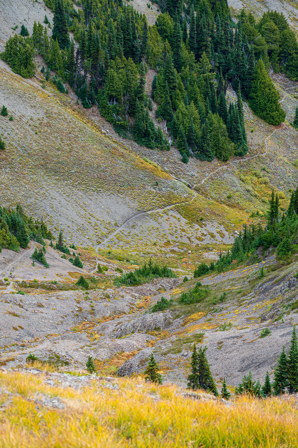 Badger Valley to Grand Pass Loop