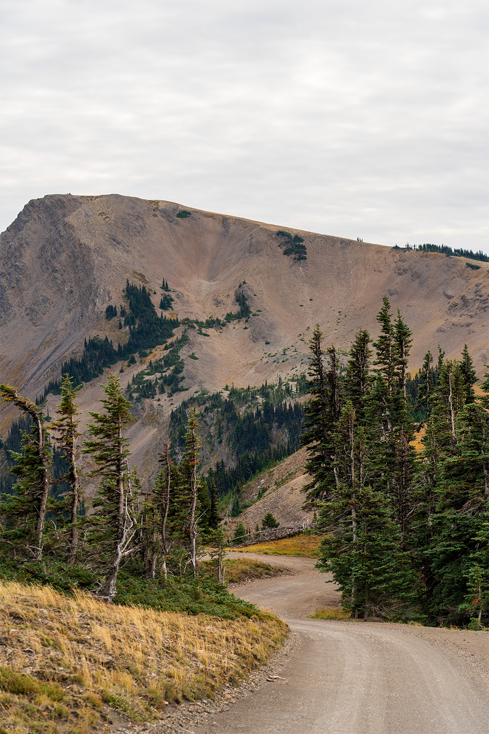 Badger Valley to Grand Pass Loop