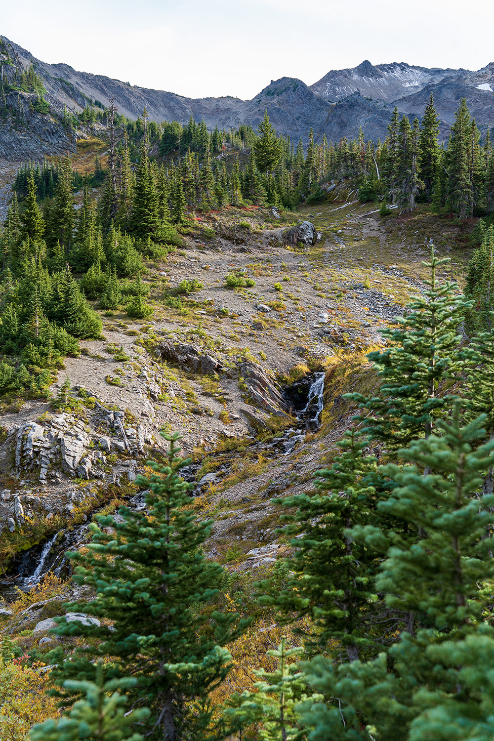 Badger Valley to Grand Pass Loop