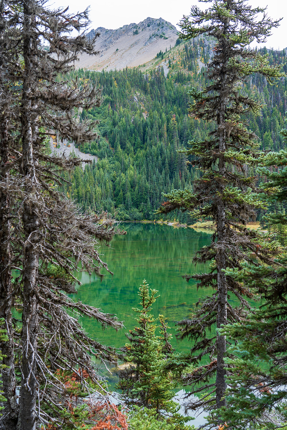 Badger Valley to Grand Pass Loop