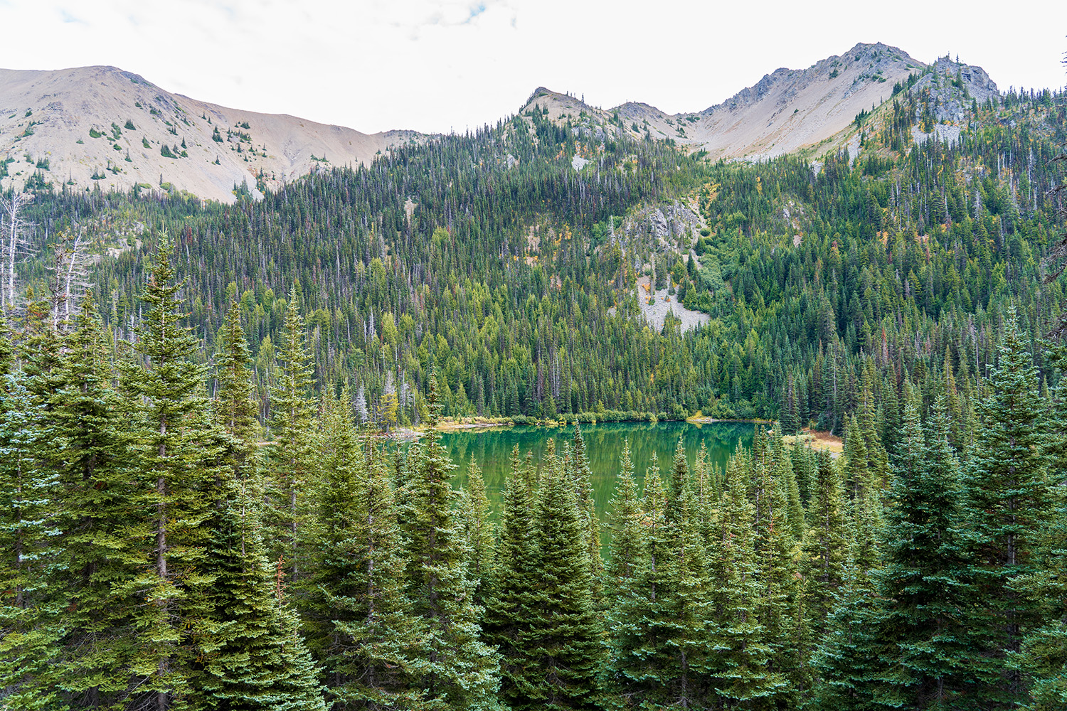 Badger Valley to Grand Pass Loop
