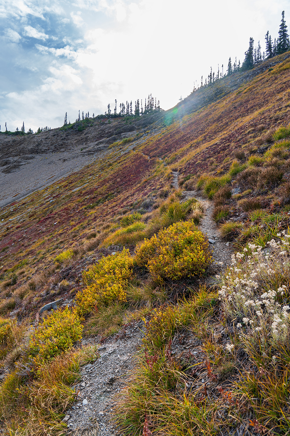Badger Valley to Grand Pass Loop