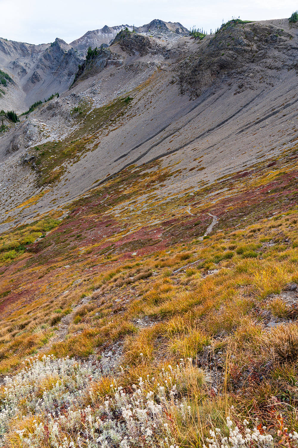 Badger Valley to Grand Pass Loop