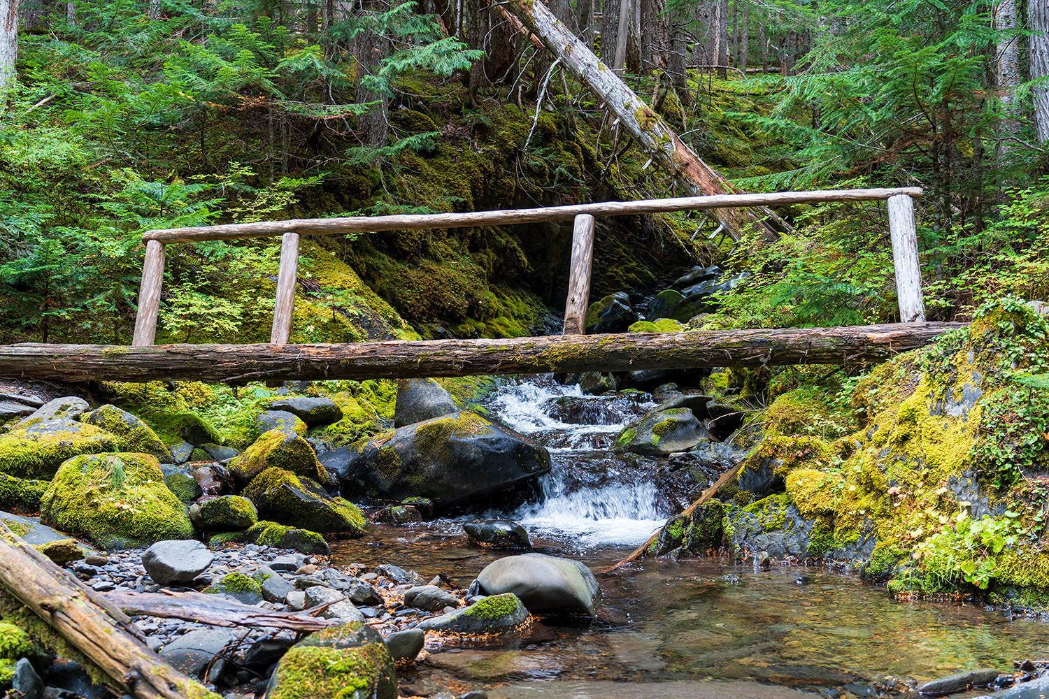 Badger Valley to Grand Pass Loop