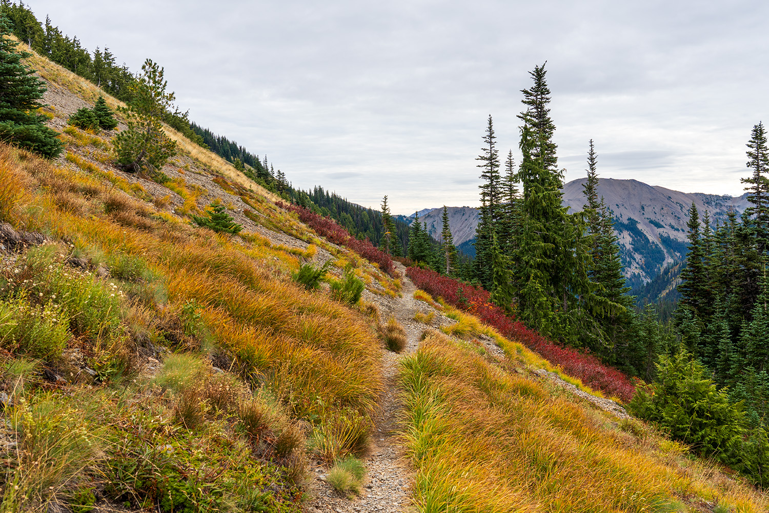 Badger Valley to Grand Pass Loop