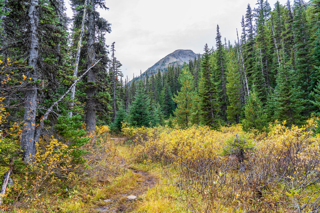 Badger Valley to Grand Pass Loop