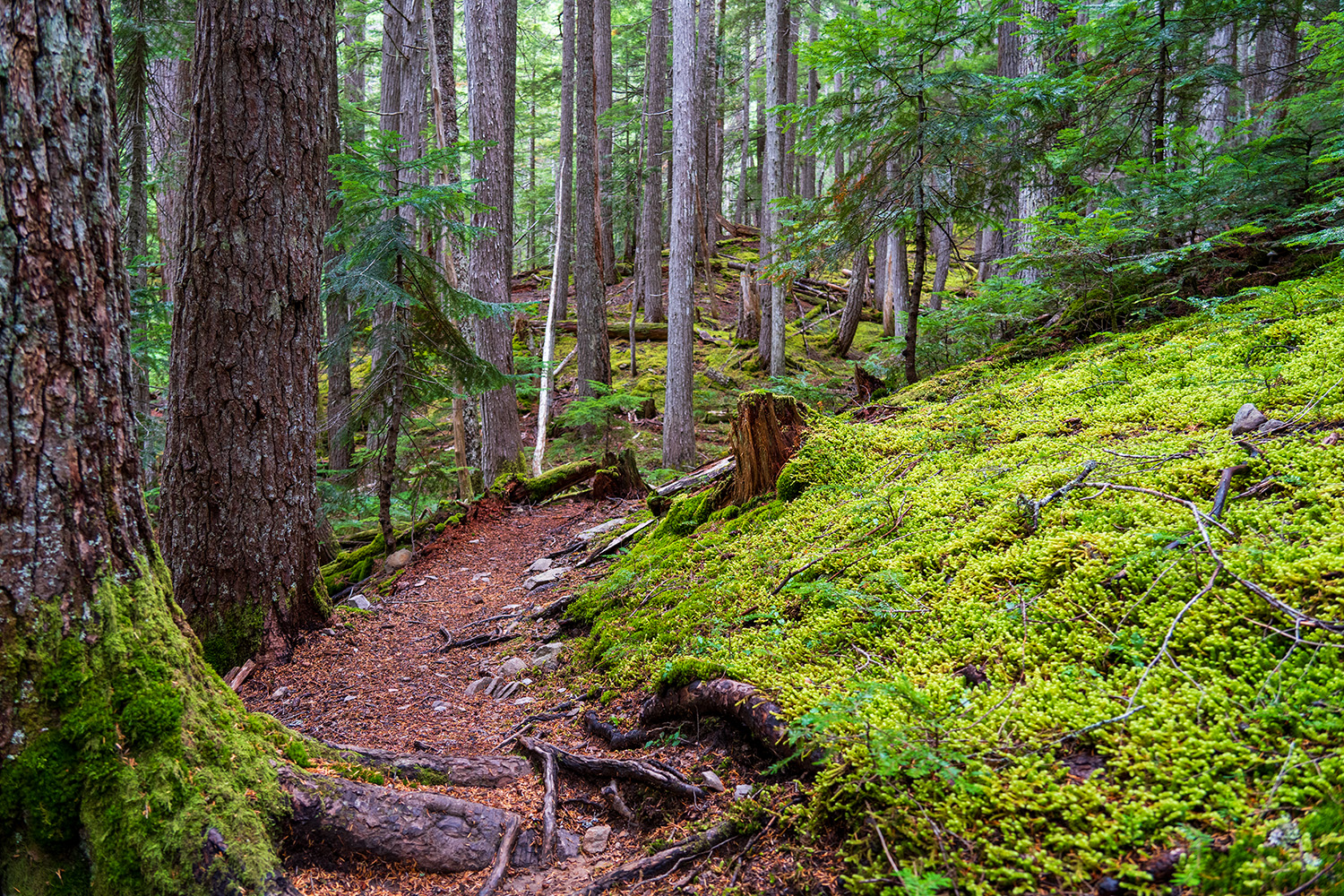 Badger Valley to Grand Pass Loop