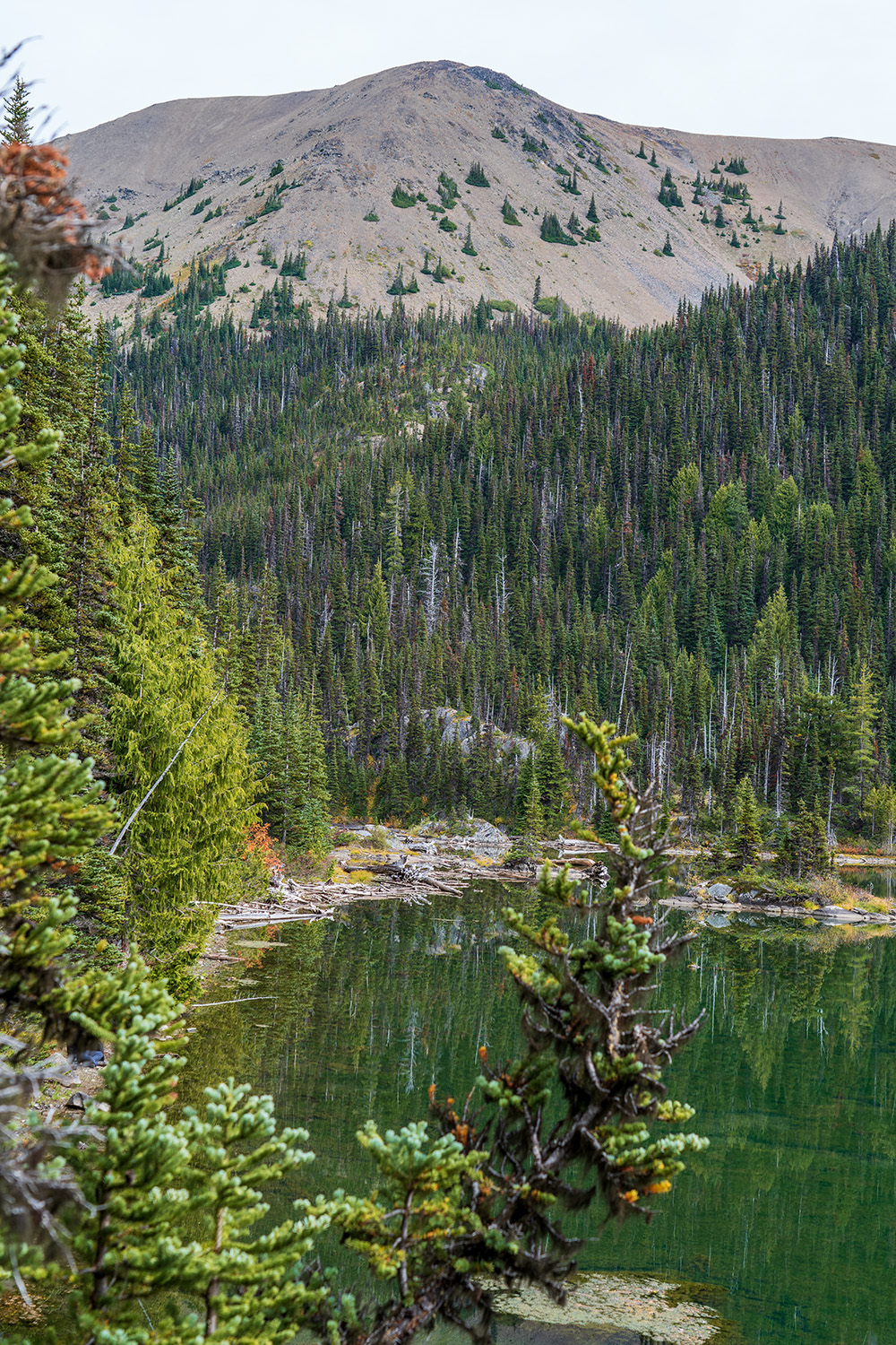 Badger Valley to Grand Pass Loop