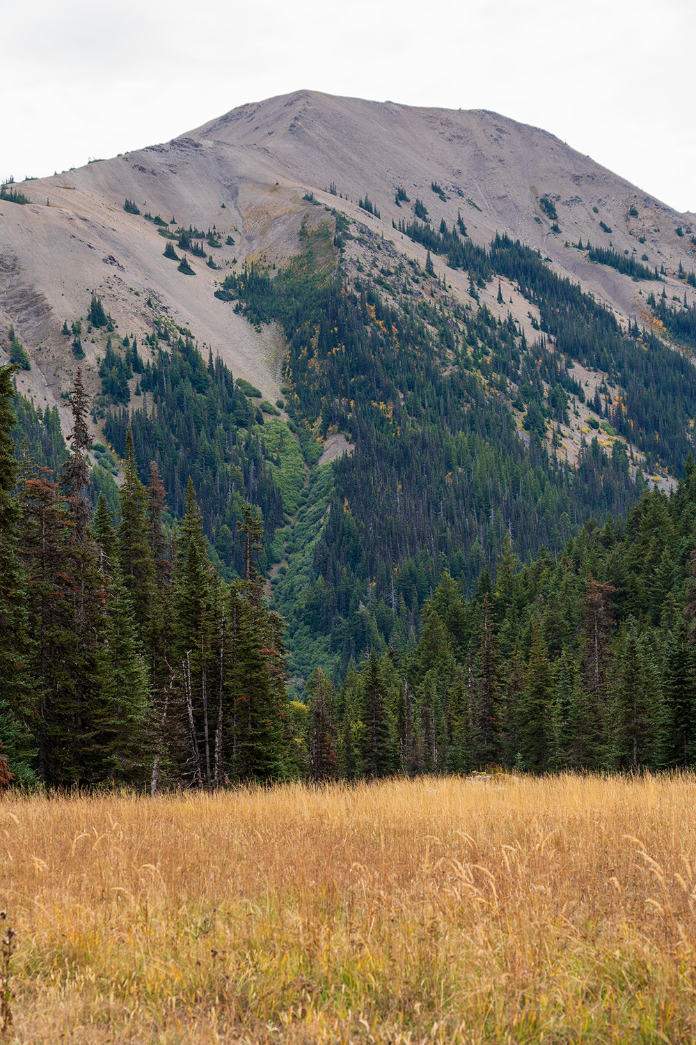 Badger Valley to Grand Pass Loop