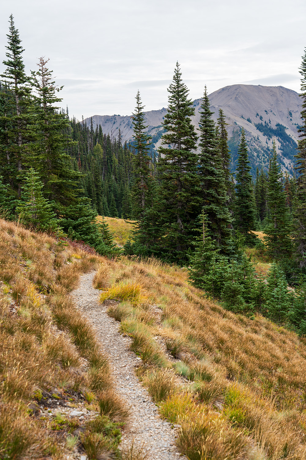 Badger Valley to Grand Pass Loop