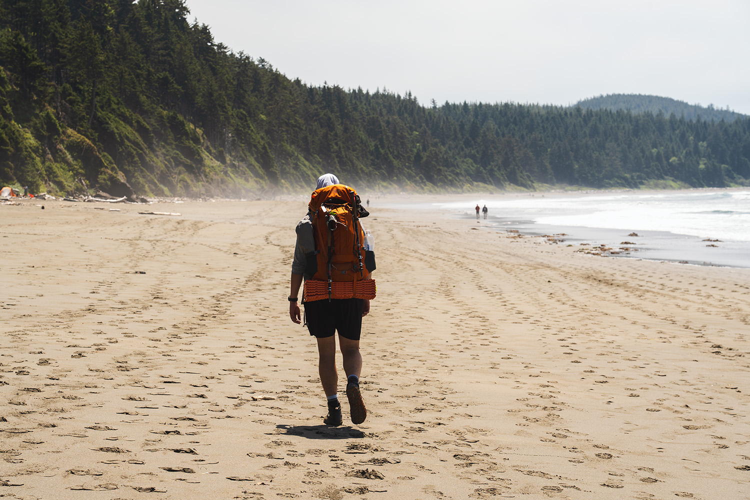 Shi Shi Beach