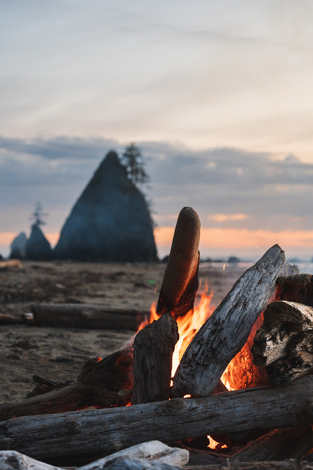 Shi Shi Beach