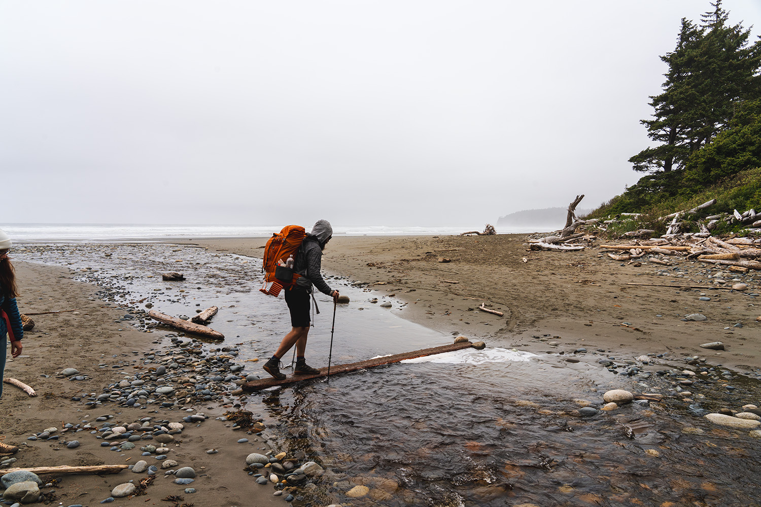 Shi Shi Beach