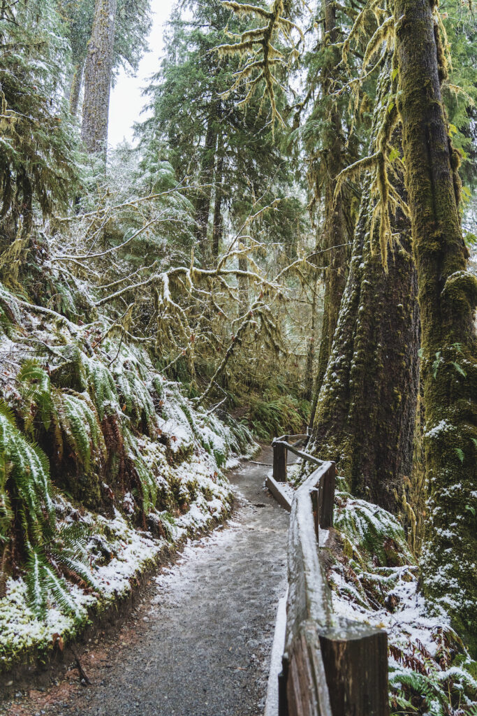 Hall of Mosses