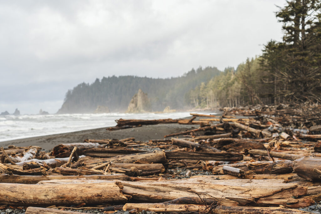 Rialto Beach