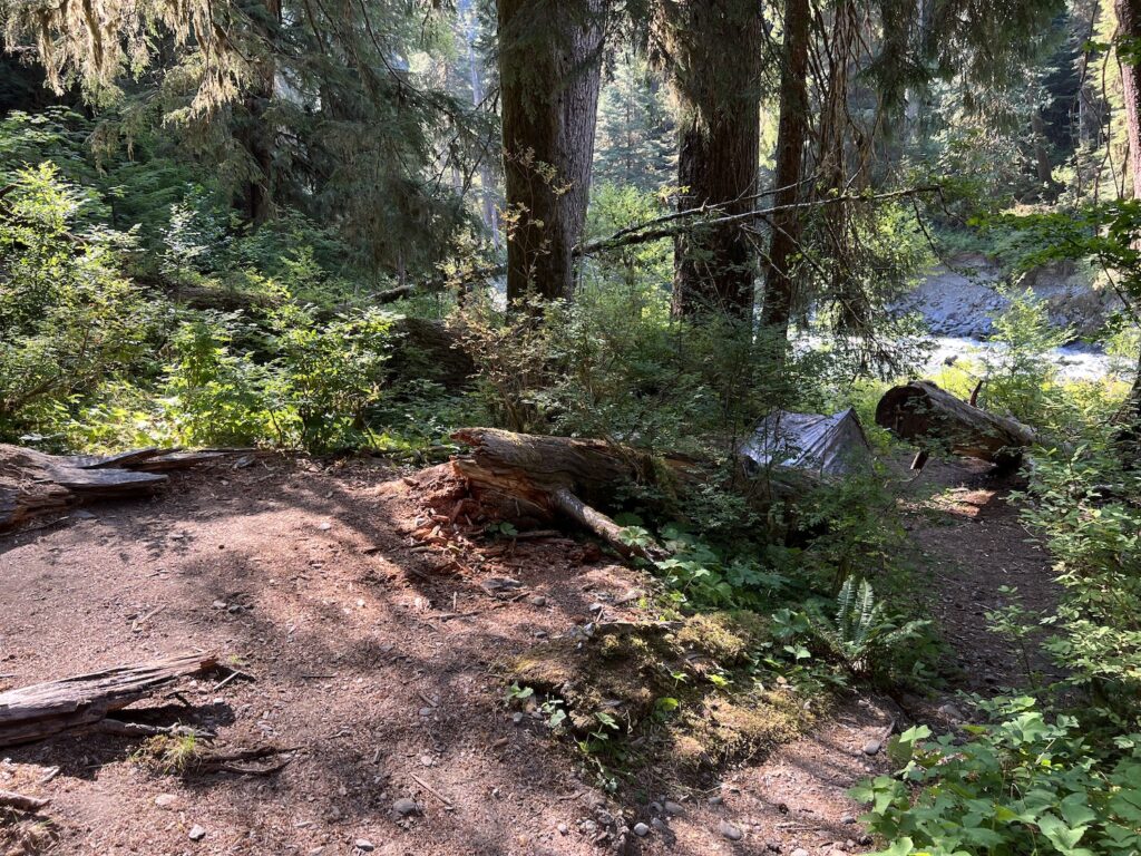 Hoh River to Blue Glacier