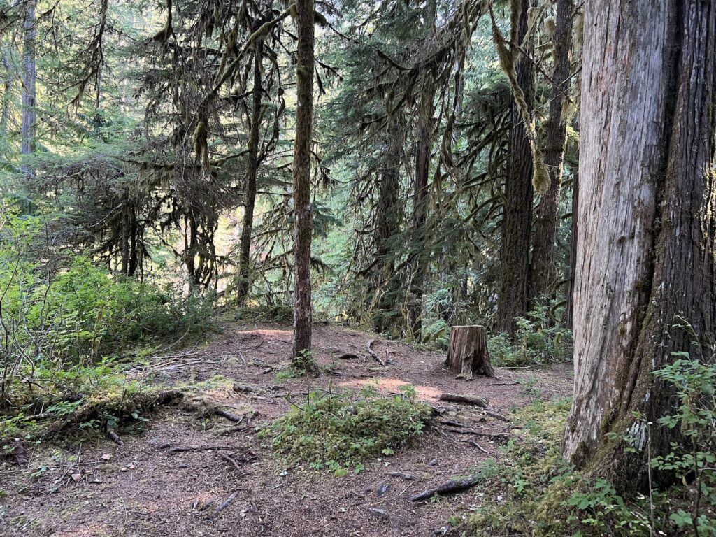 Hoh River to Blue Glacier