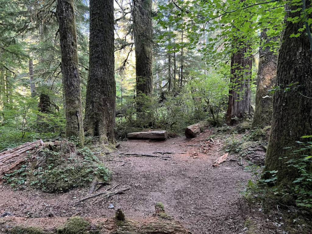 Hoh River to Blue Glacier