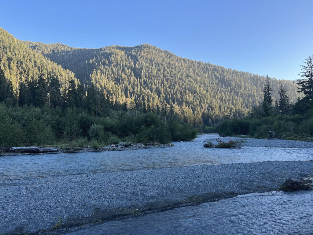 Hoh River to Blue Glacier