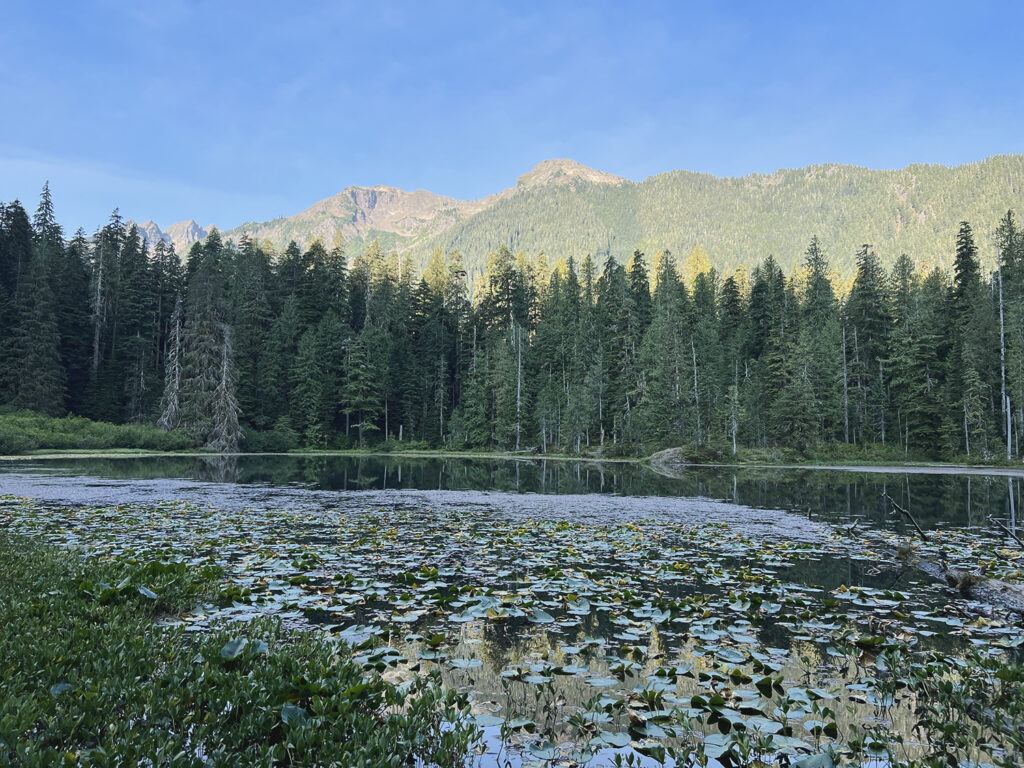 Hoh River to Blue Glacier