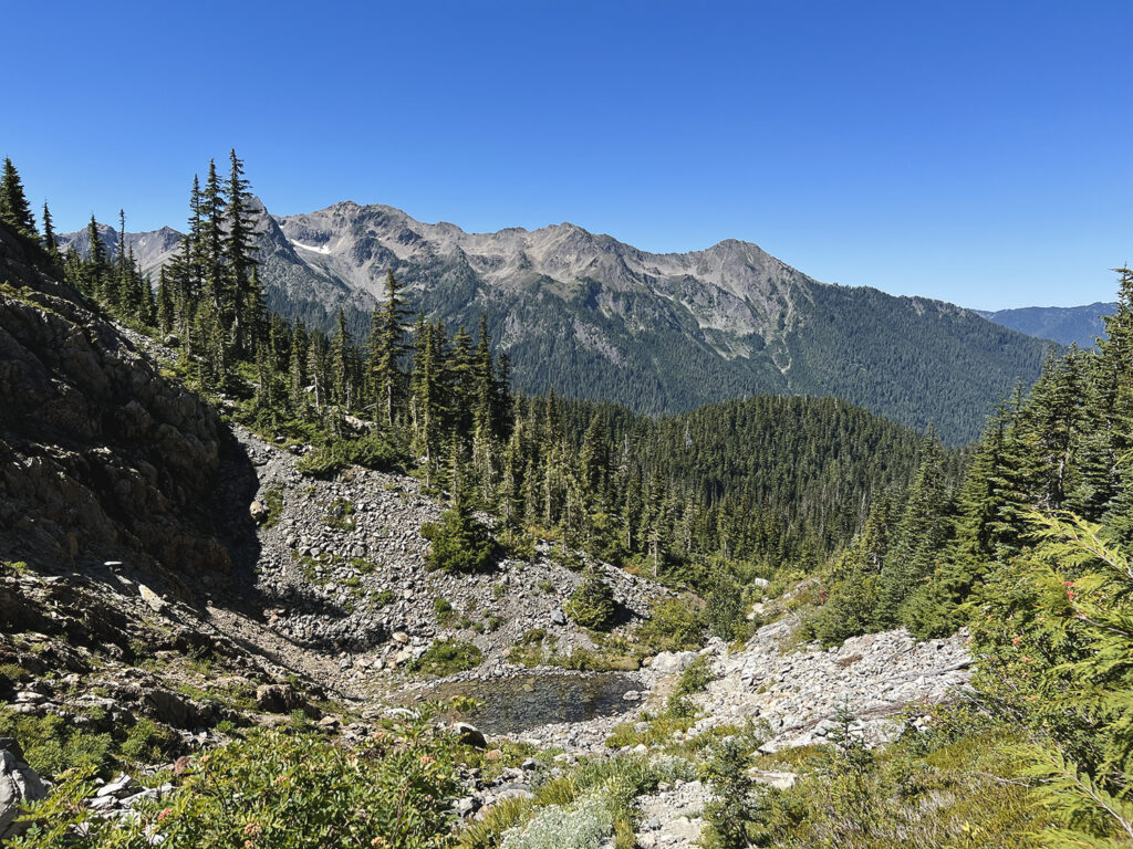 Hoh River to Blue Glacier