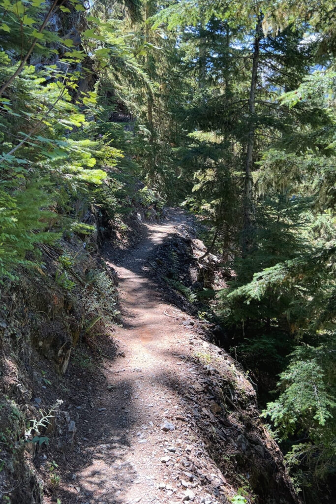 Hoh River to Blue Glacier