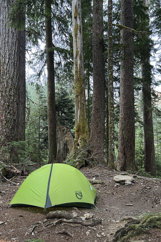 Hoh River to Blue Glacier