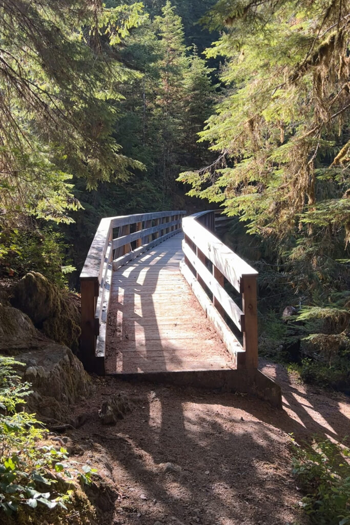 Hoh River to Blue Glacier