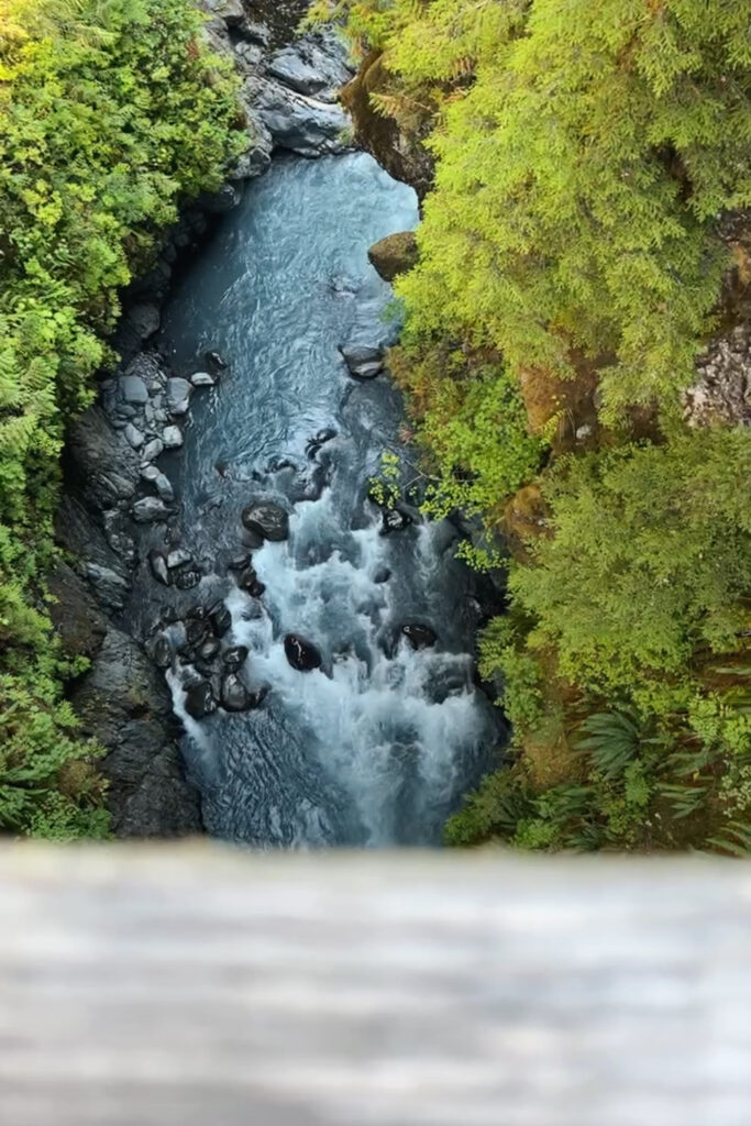 Hoh River to Blue Glacier