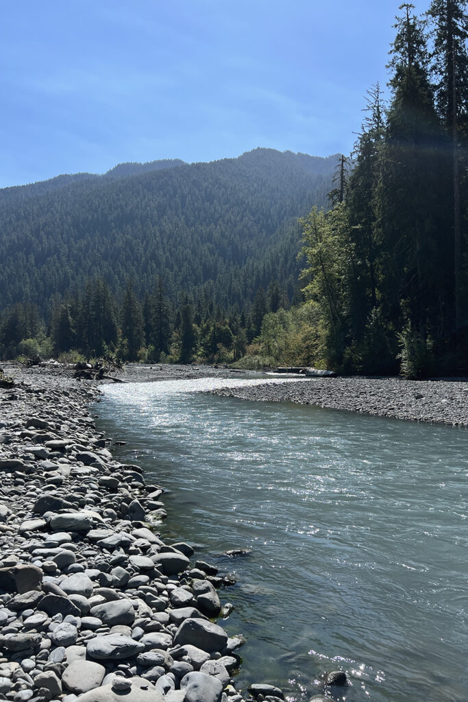 Hoh River to Blue Glacier