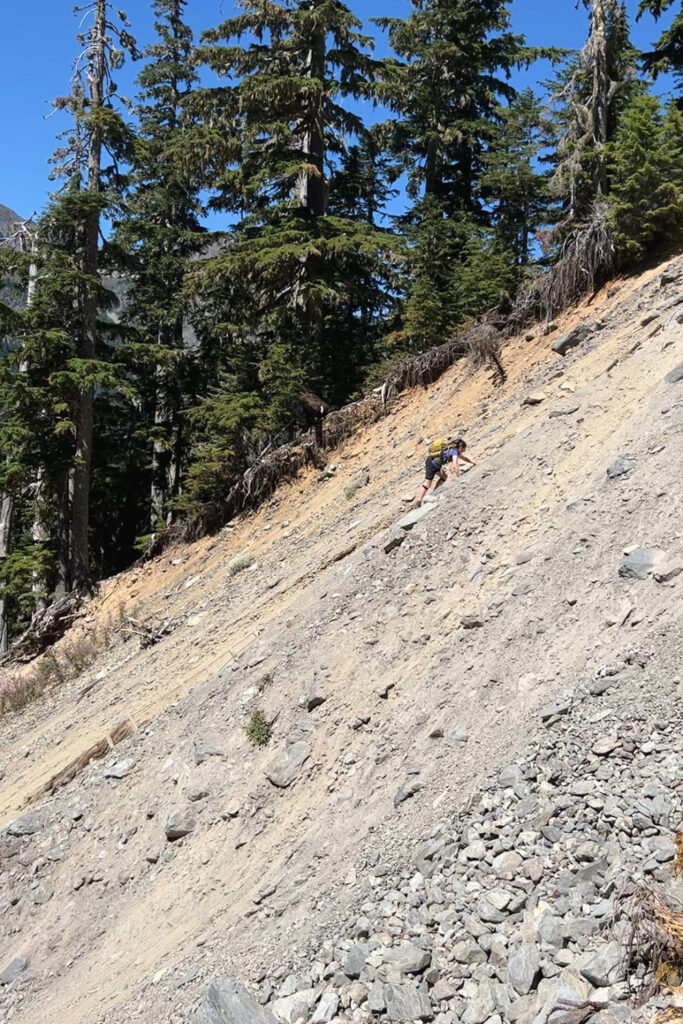 Hoh River to Blue Glacier