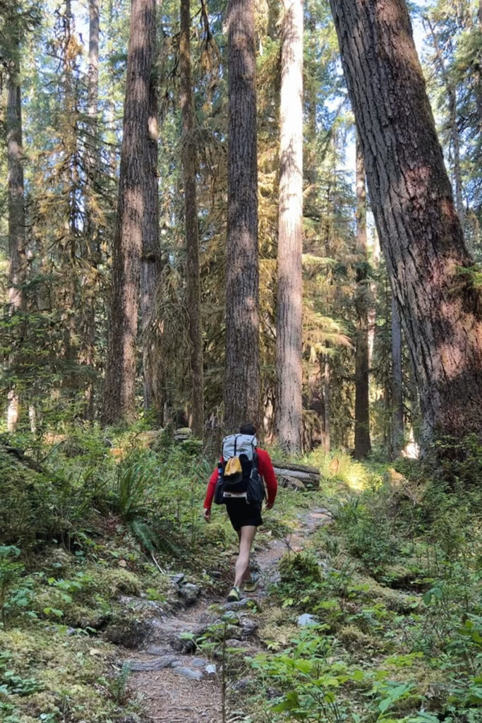 Hoh River to Blue Glacier