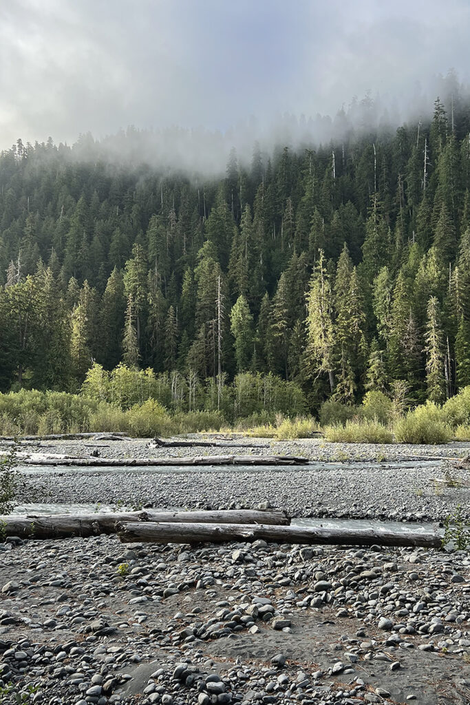 Hoh River to Blue Glacier