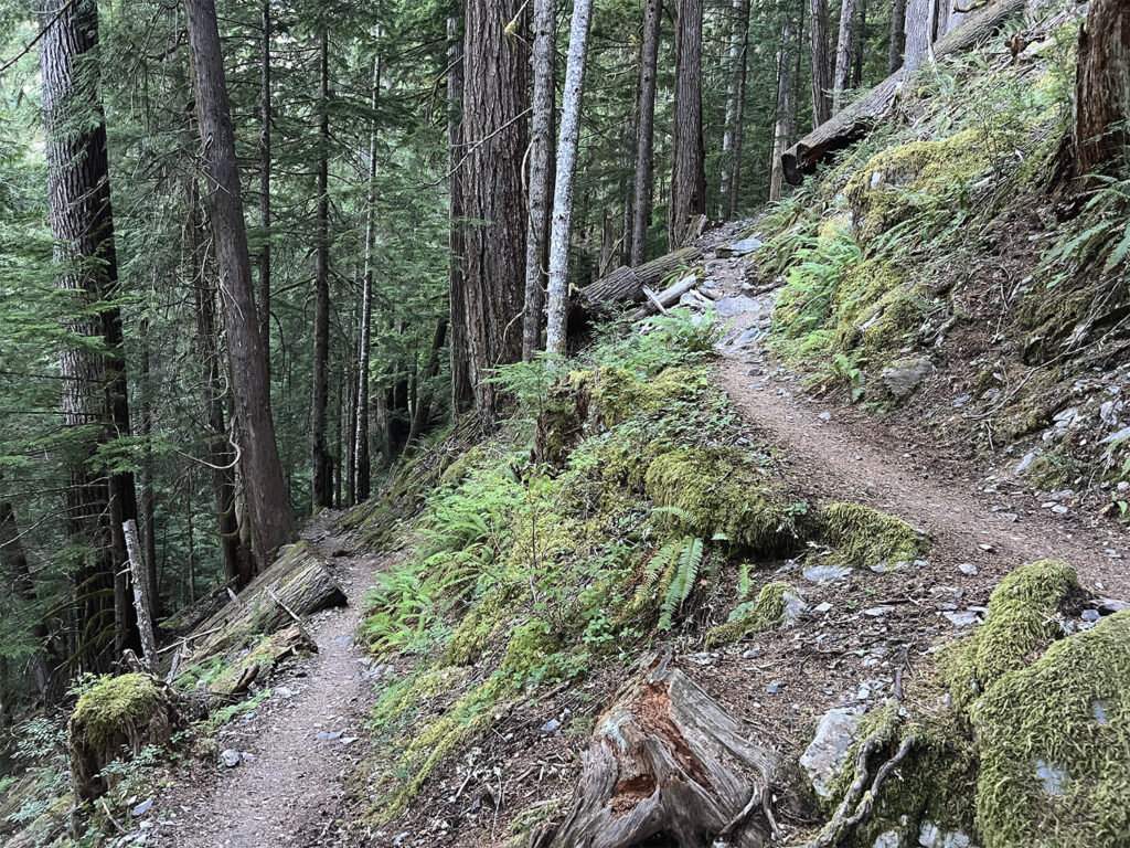 Hoh River to Blue Glacier