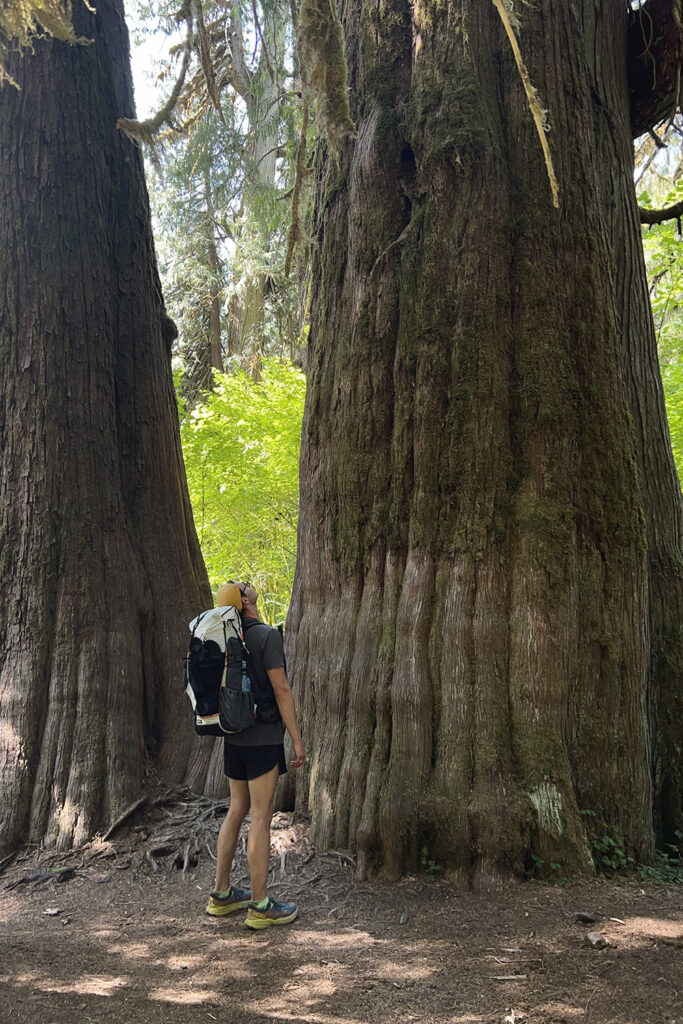 Hoh River to Blue Glacier