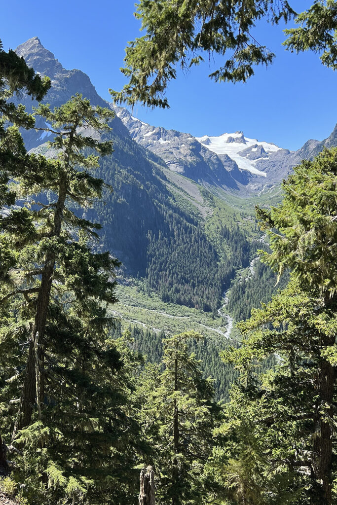 Hoh River to Blue Glacier