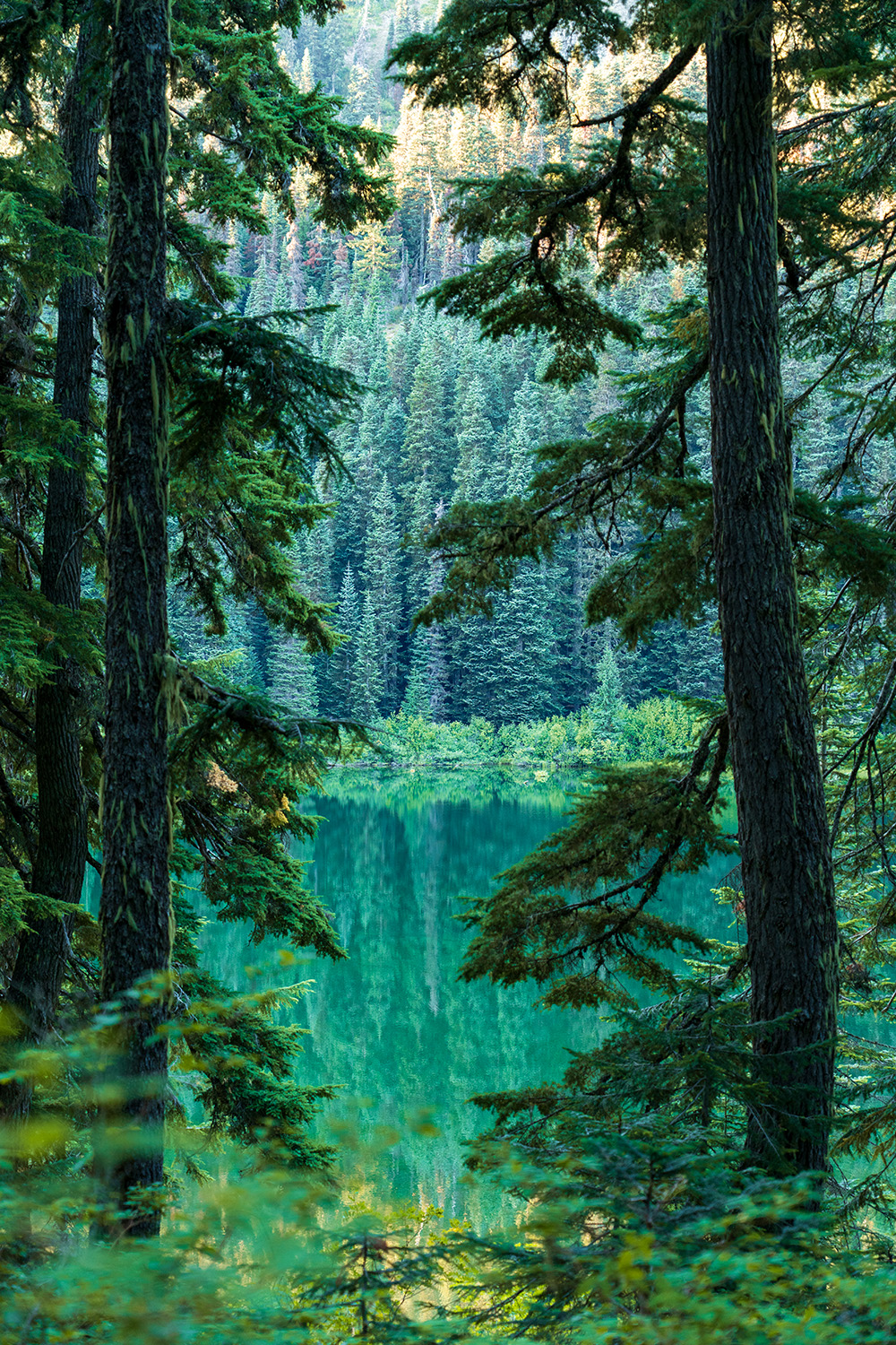 Mirror Lake
