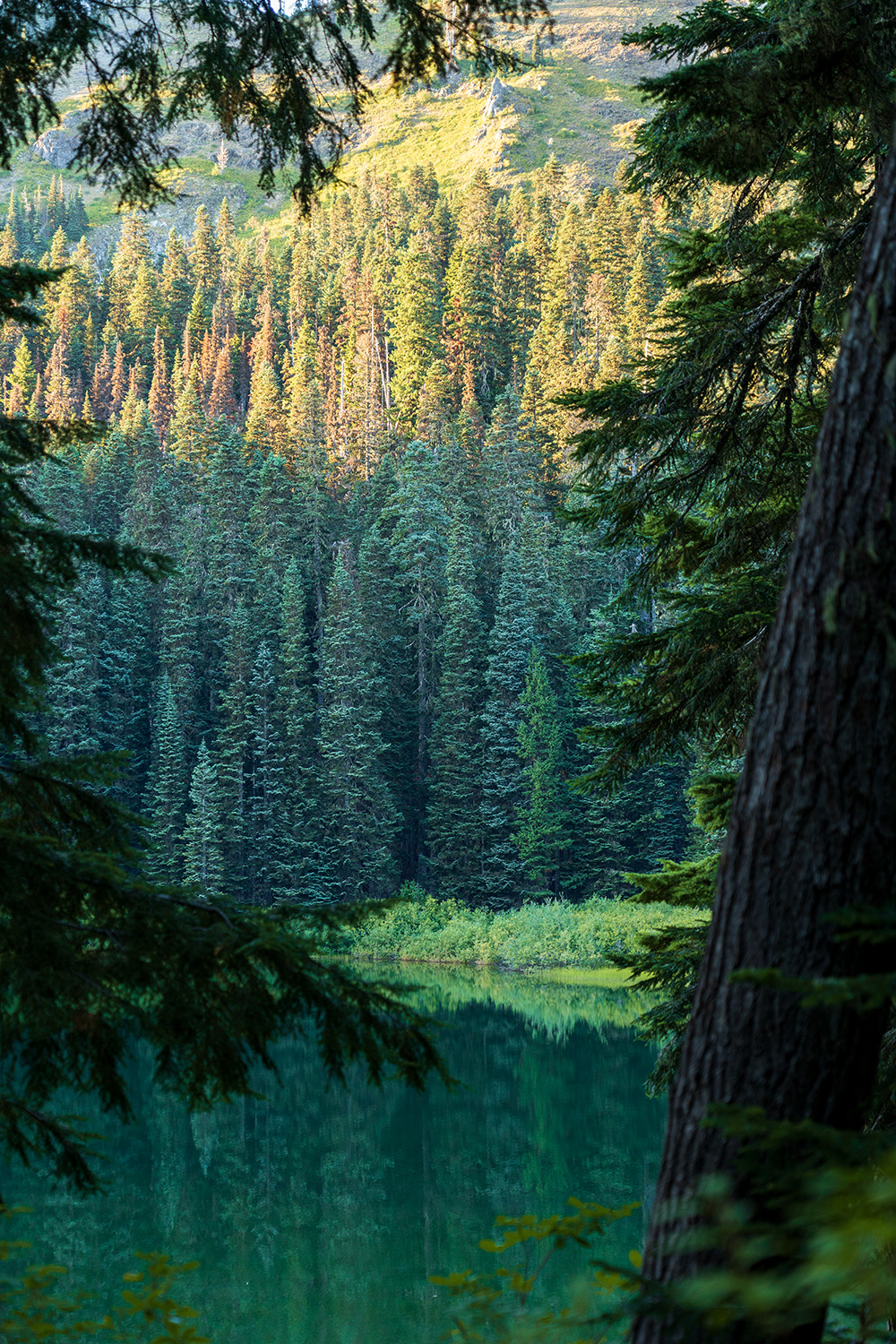 Mirror Lake