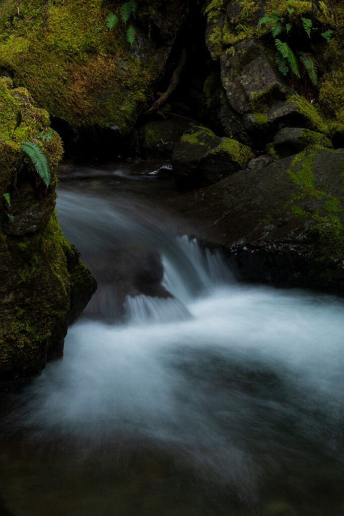murhut falls olympic national forest waterfall stream