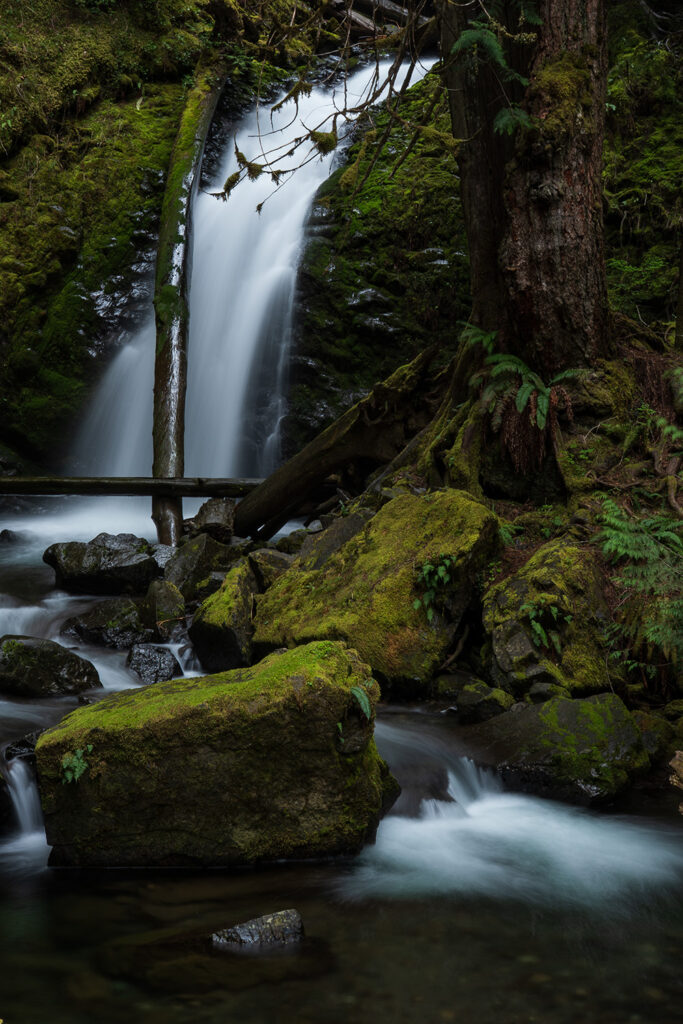murhut falls olympic national forest waterfall