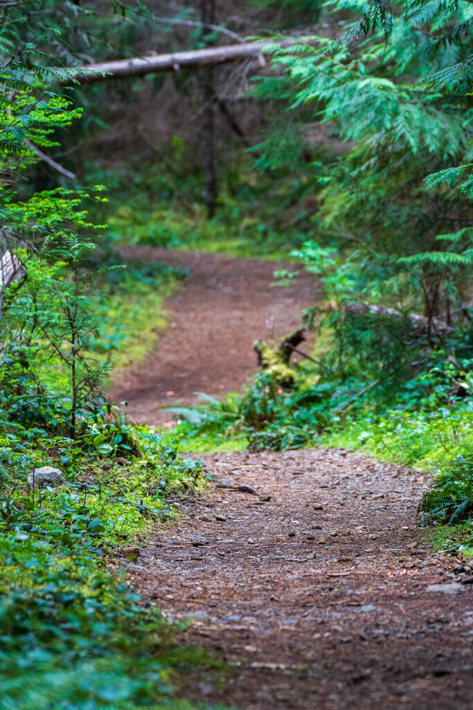 winding trail to murhut falls