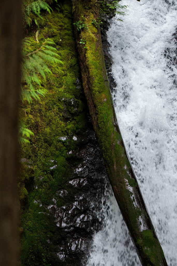water cascading from murhut falls waterfall