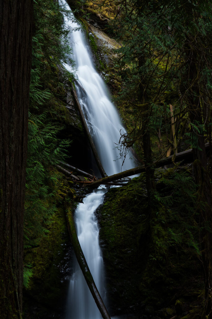 murhut falls in olympic national forest waterfall