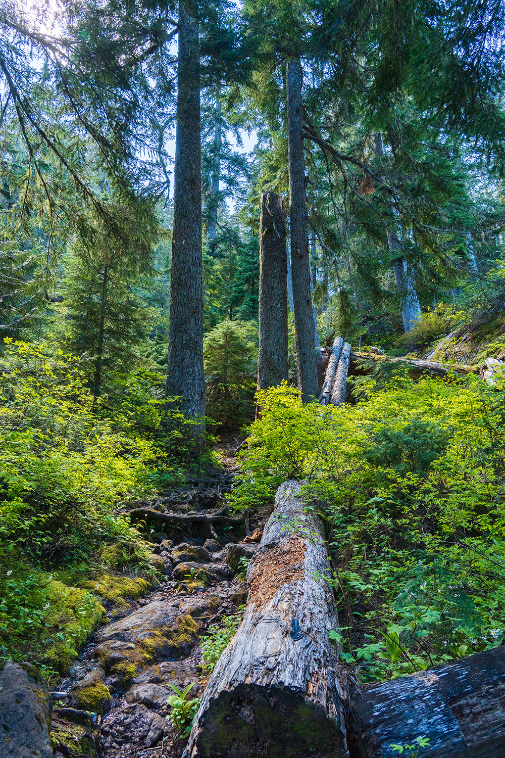 Upper Lena Lake